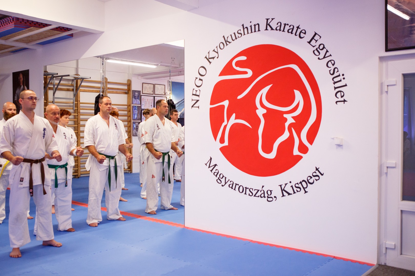 Felavatták a Nego Kyokushin Karate Egyesület saját Dojo-ját 01karate-dojo2606